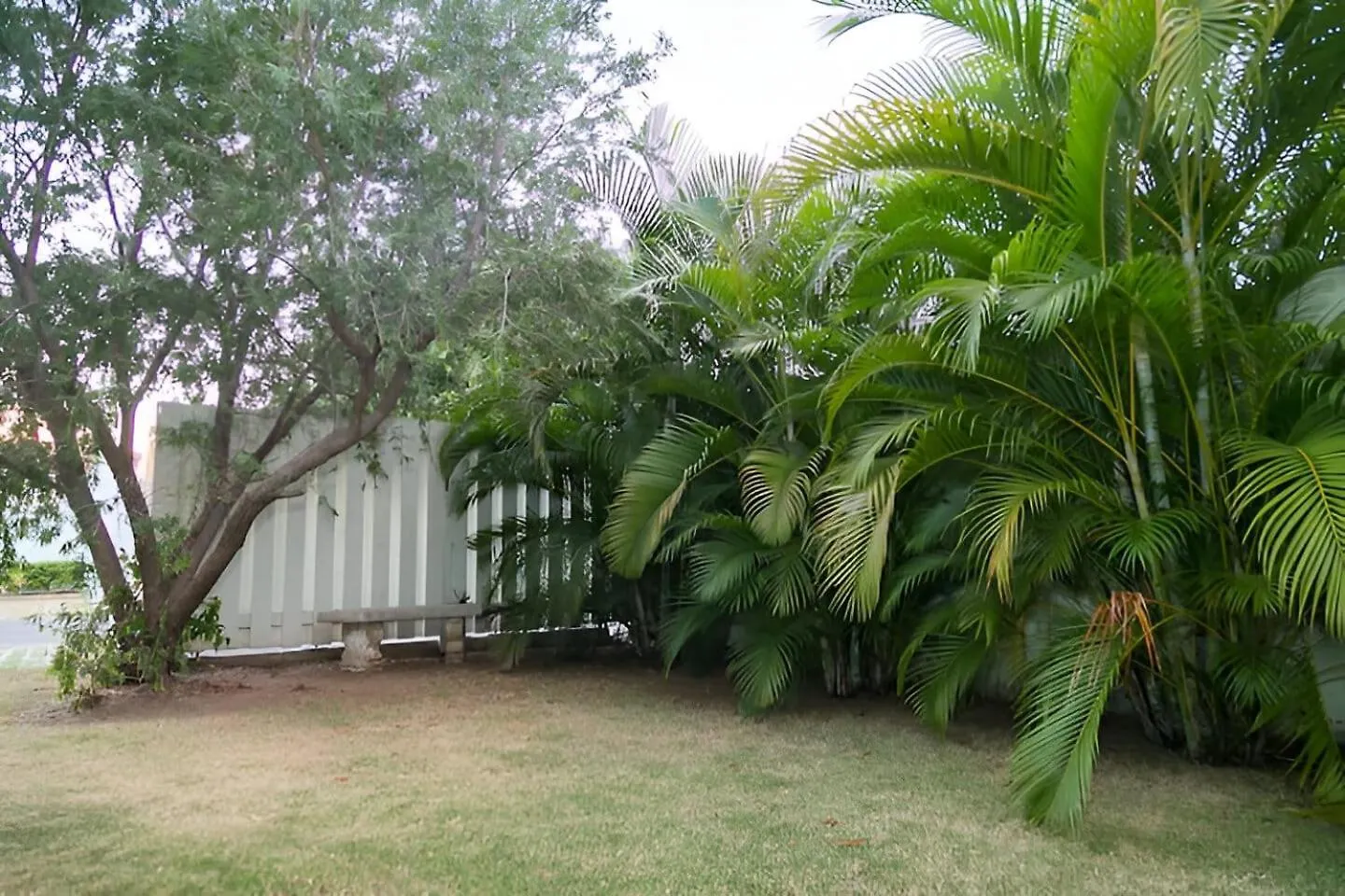 Apartmán 1-Bed Smart Access Condo Near Bob Marley Museum Kingston